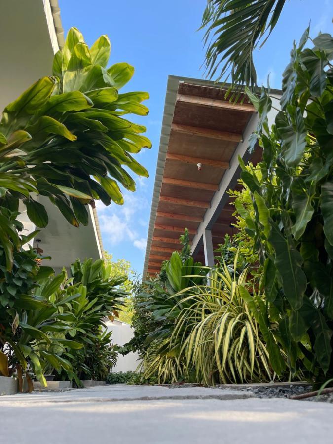 Royal Stay Inn Thoddoo Eksteriør billede